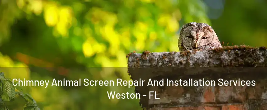 Chimney Animal Screen Repair And Installation Services Weston - FL