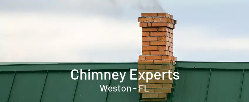 Chimney Experts Weston - FL