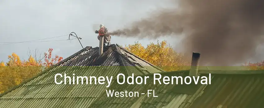 Chimney Odor Removal Weston - FL