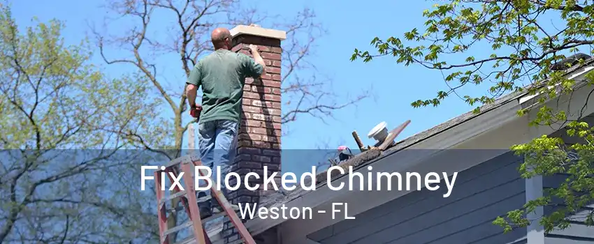 Fix Blocked Chimney Weston - FL