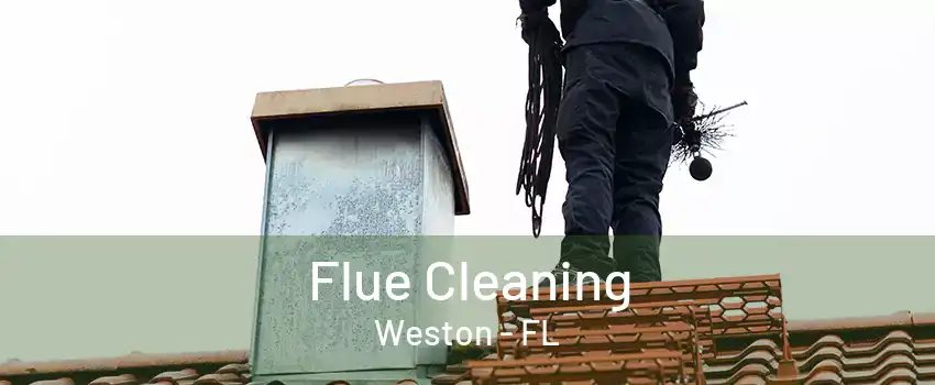 Flue Cleaning Weston - FL