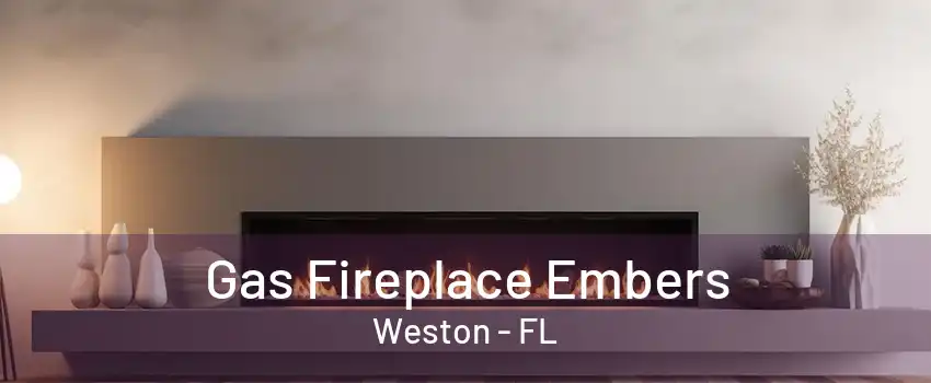 Gas Fireplace Embers Weston - FL