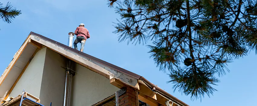 Birds Removal Contractors from Chimney in Weston, FL